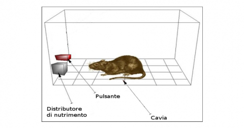 L’industria comportamentale del terzo millennio; l’uomo come un ratto nella Skinner-Box